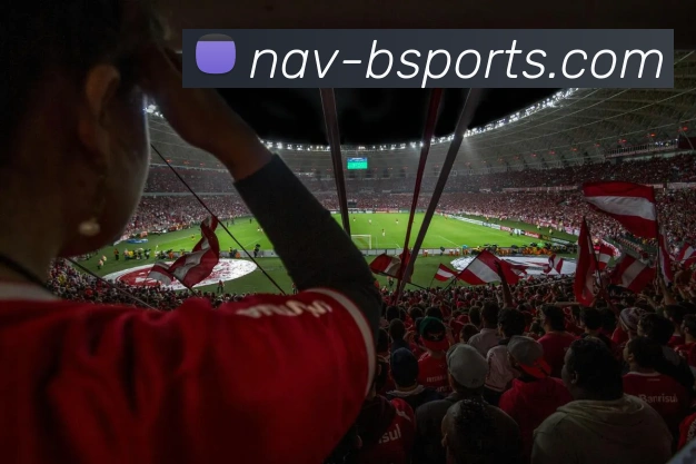 多媒体互动体验